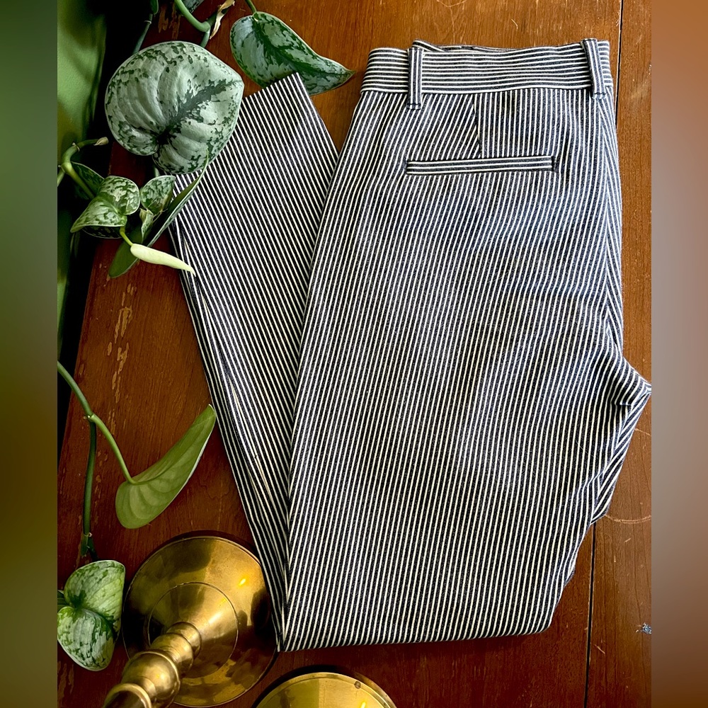 Gap Navy Pinstripe Skinny Ankle Size 2